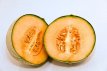 F101 Melon Cavaillon